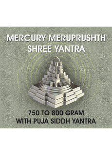 Parad Shree Yantra With Pooja